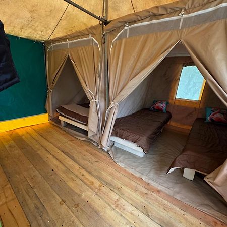 Camping Animal King Esnandes Zewnętrze zdjęcie
