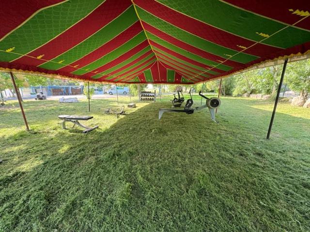 Camping Animal King Esnandes Zewnętrze zdjęcie
